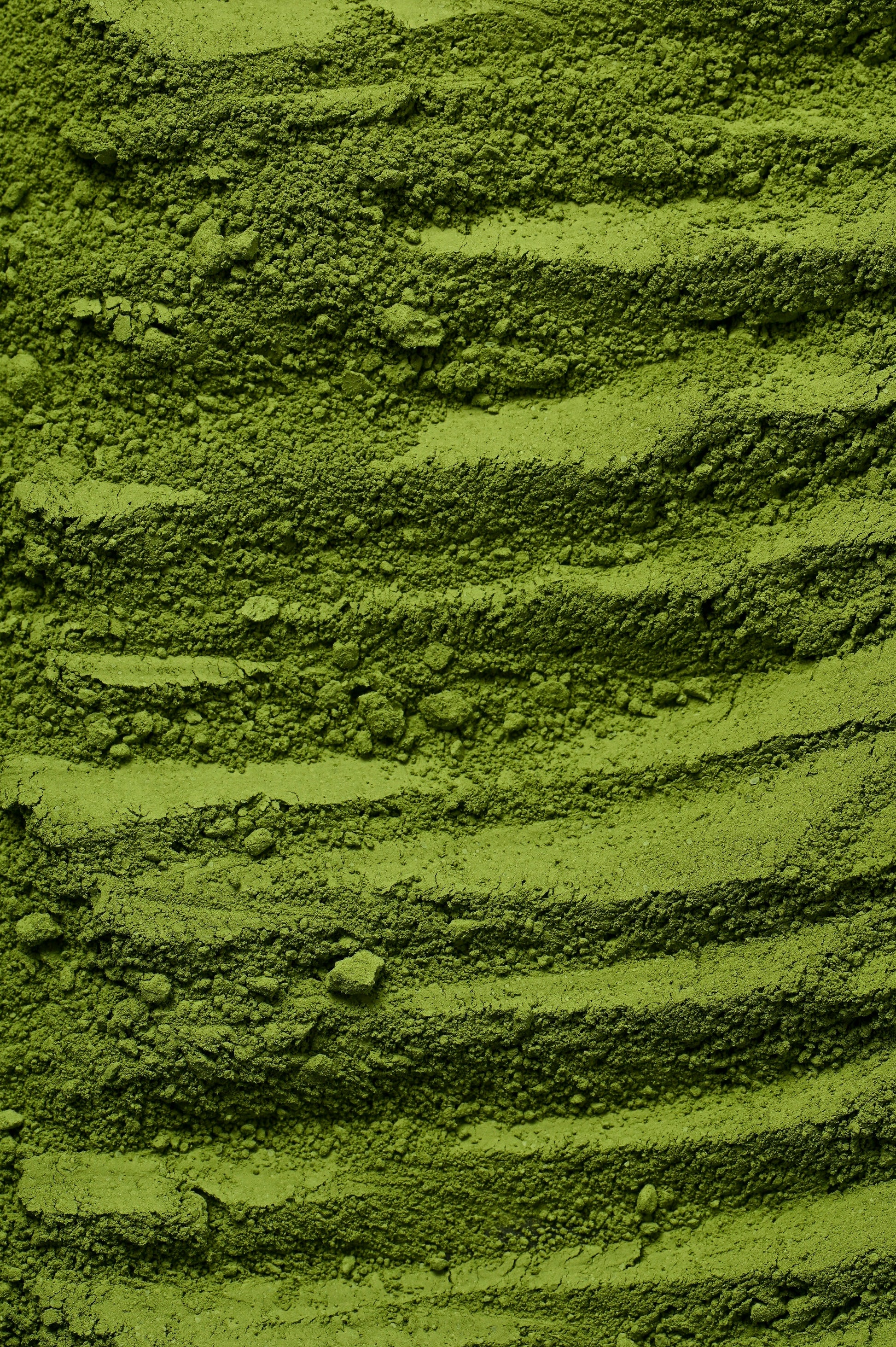 Poudre de Chlorella-2