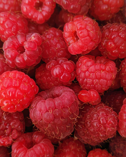 Poudre de Framboise-3
